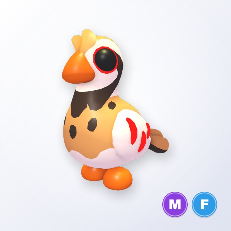 Partridge MF | Adopt Me
