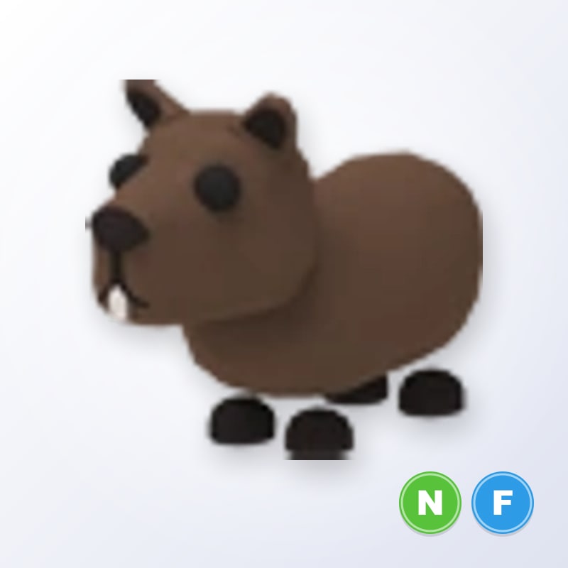 Capybara NF | Adopt Me