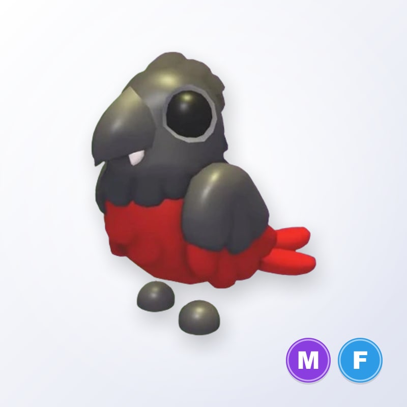 Dracula Parrot MF | Adopt Me