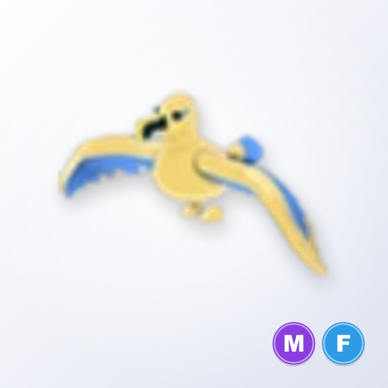 Golden Albatross MF | Adopt Me