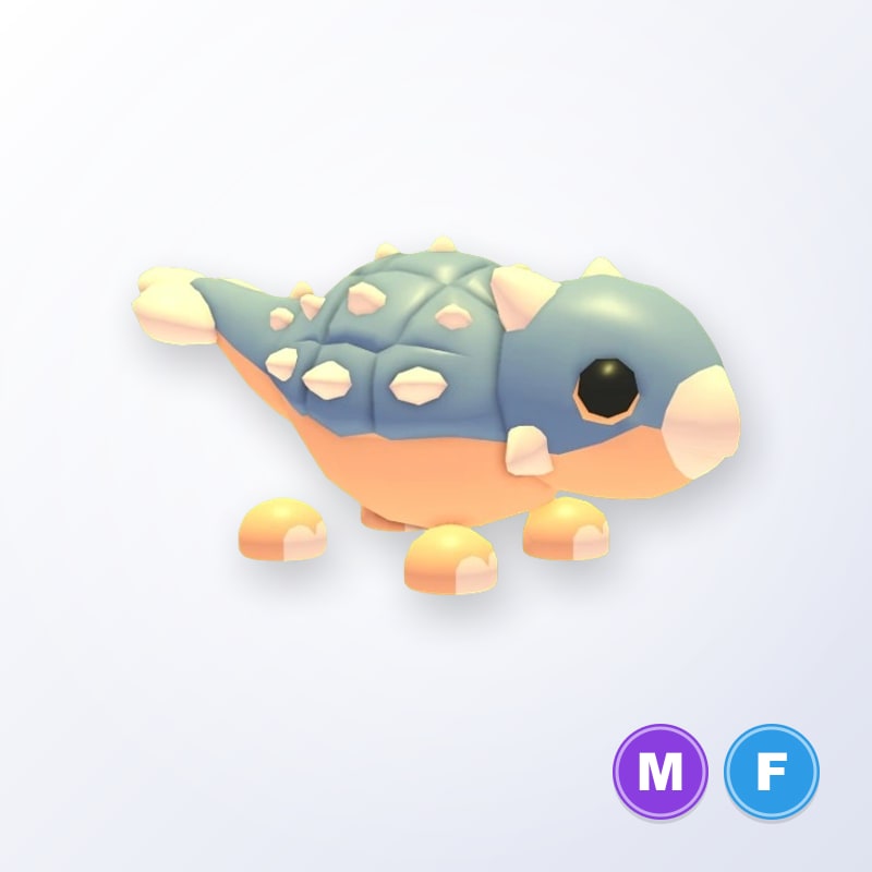 Ankylosaurus MF | Adopt Me