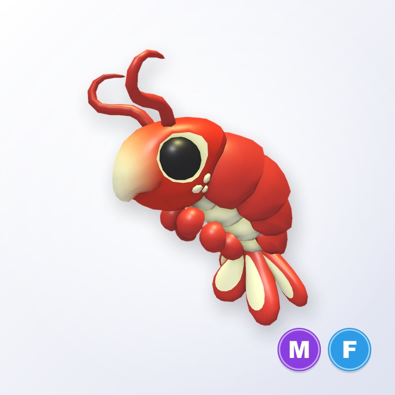Emperor Shrimp MF | Adopt Me