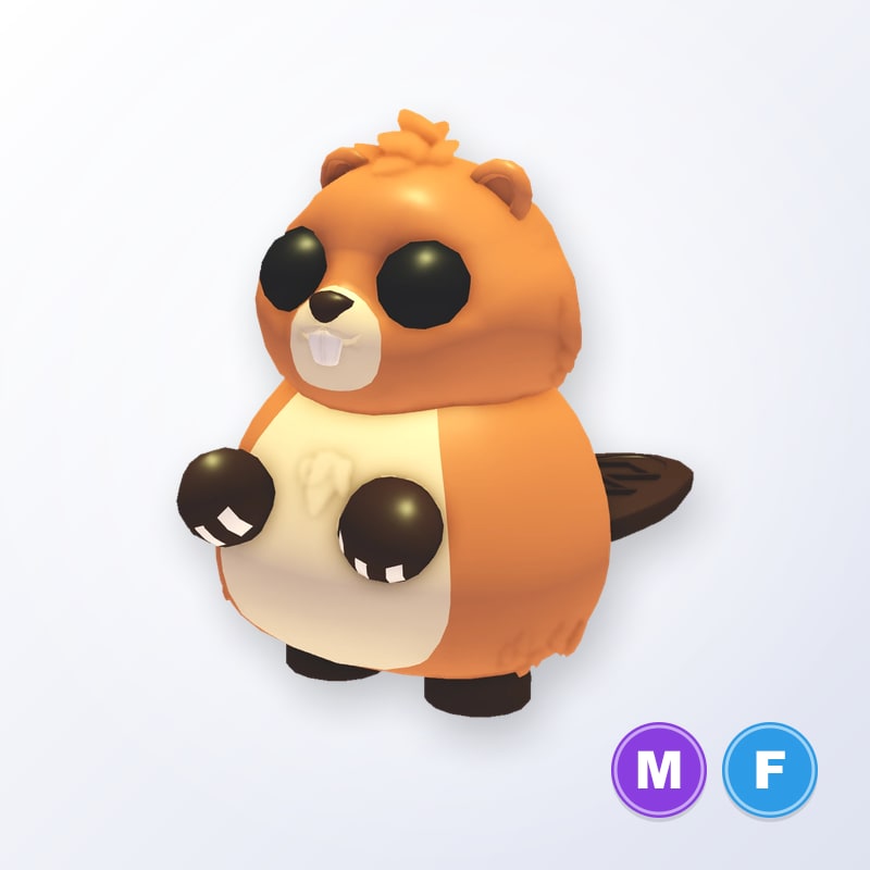 Ranger Beaver MF | Adopt Me