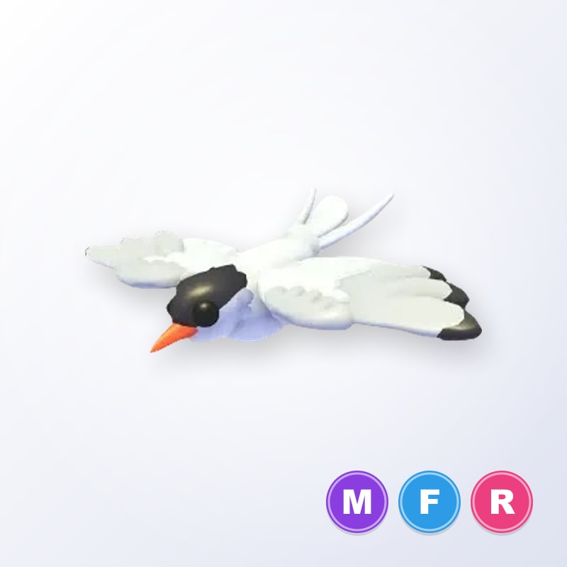 Arctic Tern MFR | Adopt Me