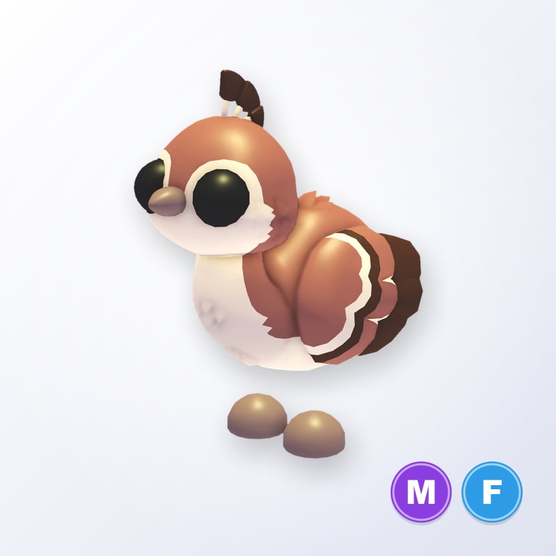 Peachick MF | Adopt Me