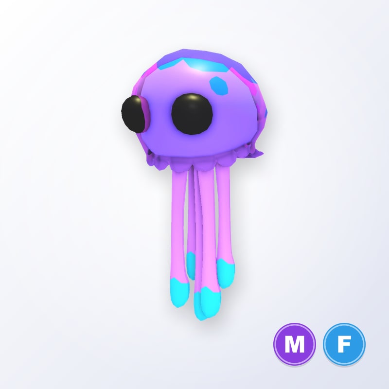 Dimension Drifter MF | Adopt Me