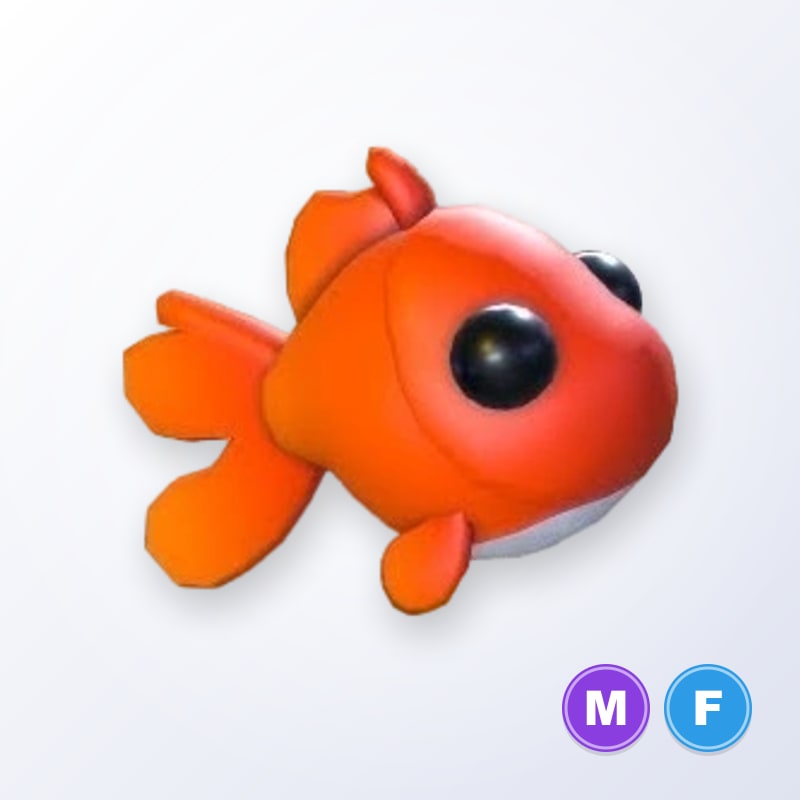 Goldfish MF | Adopt Me