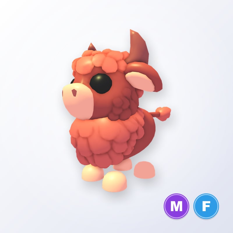 Angus Bull MF | Adopt Me
