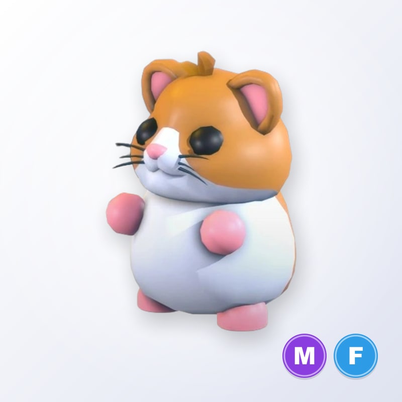 Hamster MF | Adopt Me