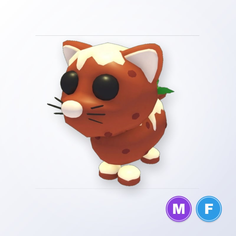 Pudding Cat MF | Adopt Me