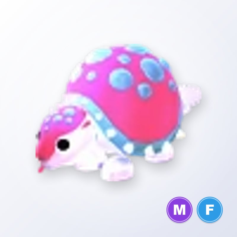 Glyptodon MF | Adopt Me