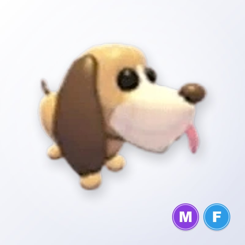 Bloodhound MF | Adopt Me