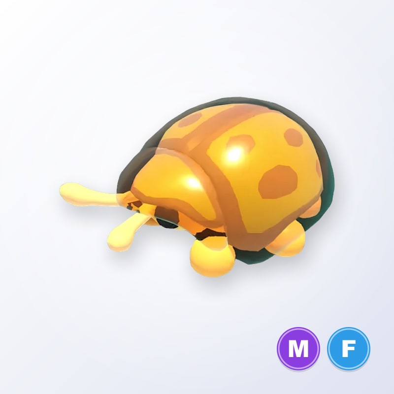 Golden Tortoise Beetle MF | Adopt Me