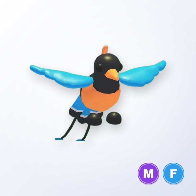 Bird of Paradise MF | Adopt Me
