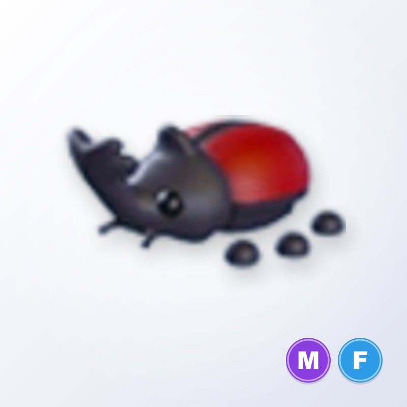 Rhino Beetle MF | Adopt Me
