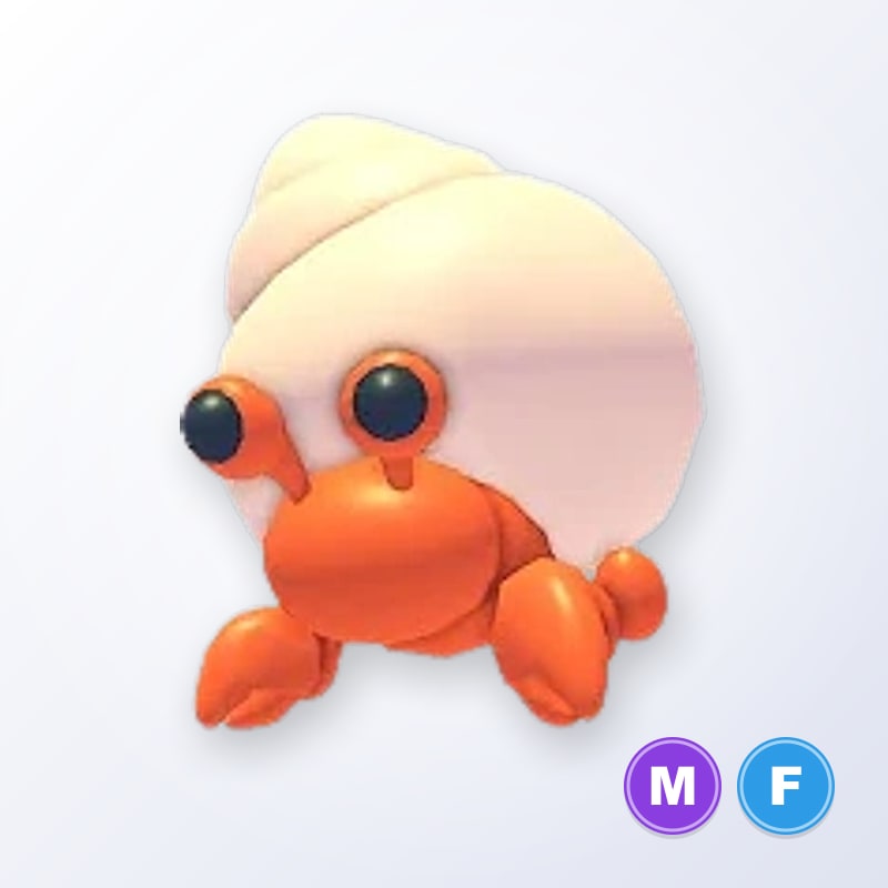 Hermit Crab MF | Adopt Me