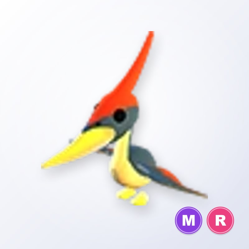 Pterodactyl MR | Adopt Me
