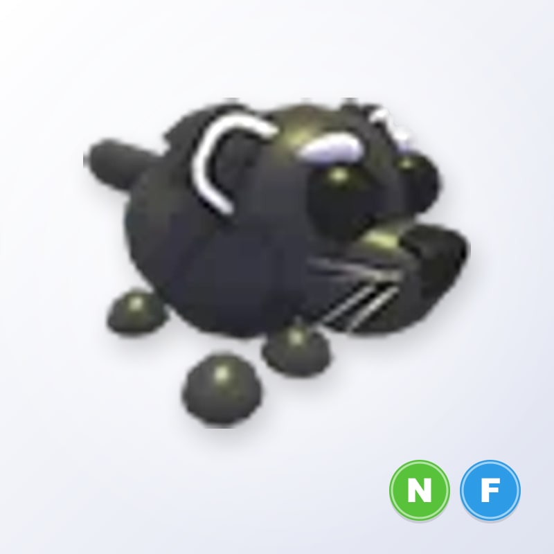 Binturong NF | Adopt Me