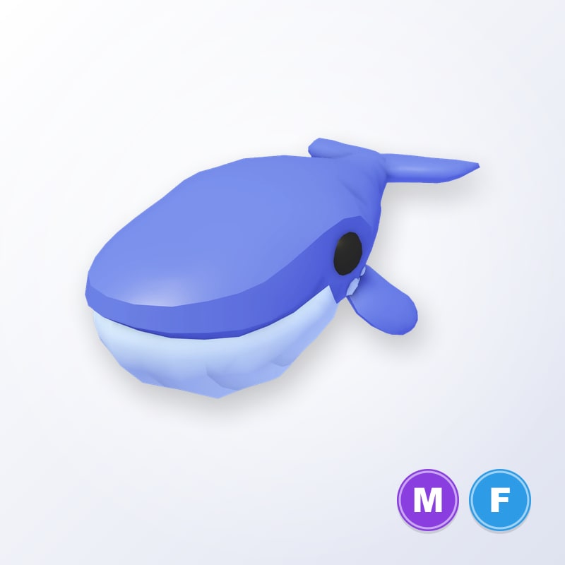 Blue Whale MF | Adopt Me