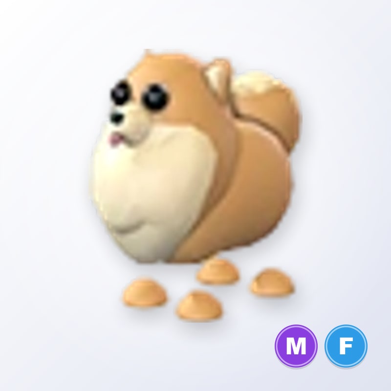 Pomeranian MF | Adopt Me