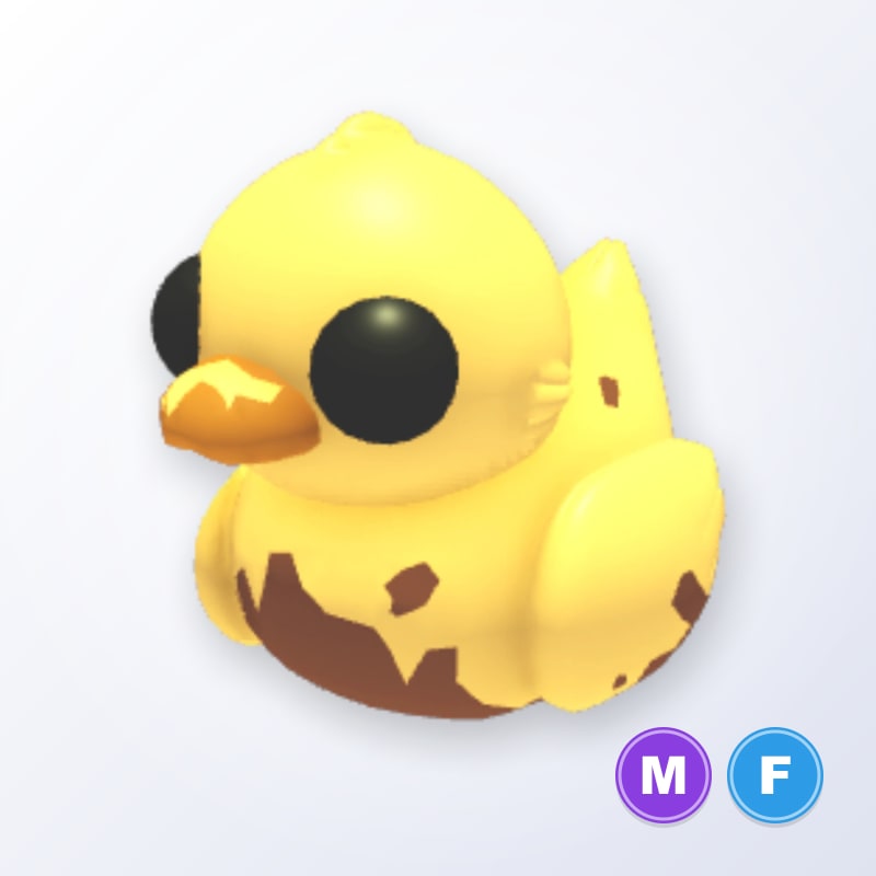 Dirty Ducky MF | Adopt Me