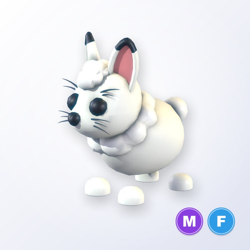 Arctic Hare MF | Adopt Me