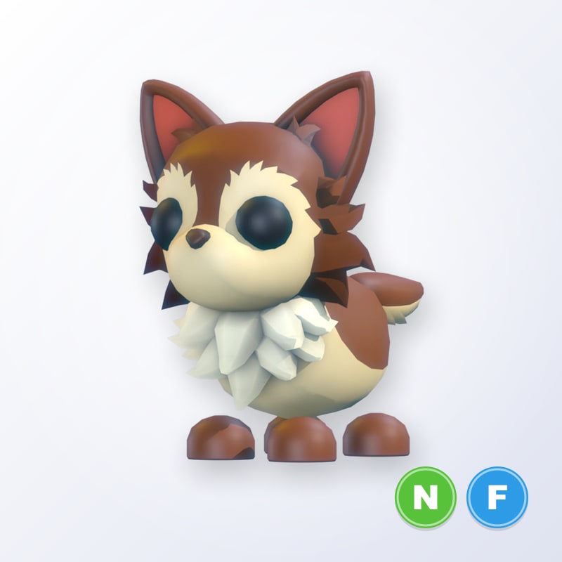 Chihuahua NF | Adopt Me