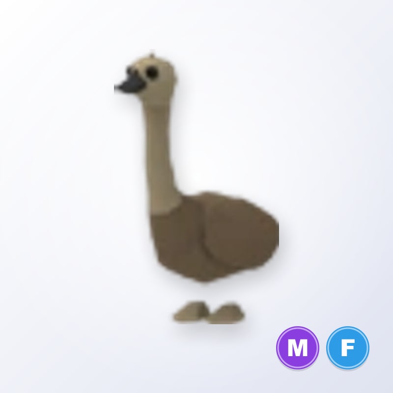 Emu MF | Adopt Me