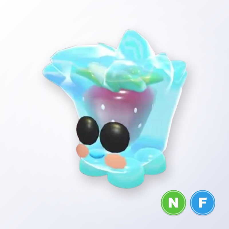 Berry Cool Cube NF | Adopt Me