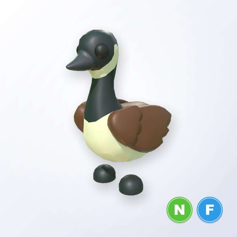 Canadian Goose NF | Adopt Me