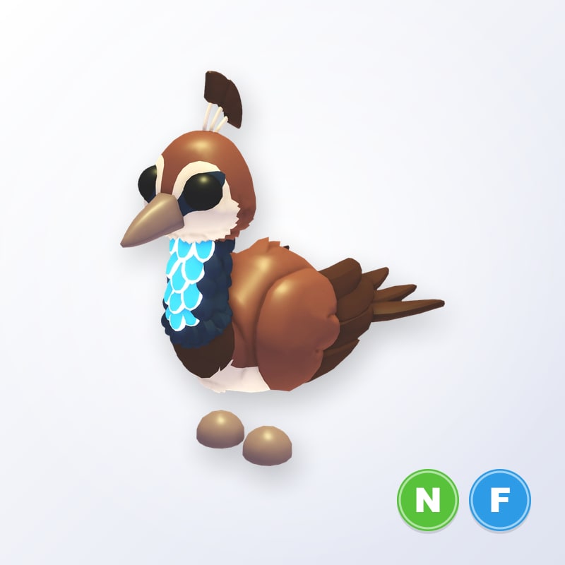 Peahen NF | Adopt Me