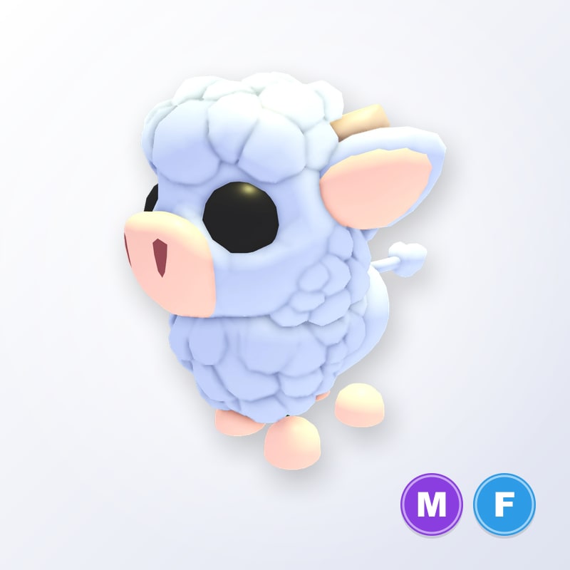 Angus Calf MF | Adopt Me
