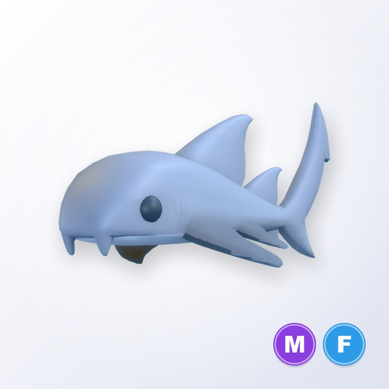 Nurse Shark MF | Adopt Me