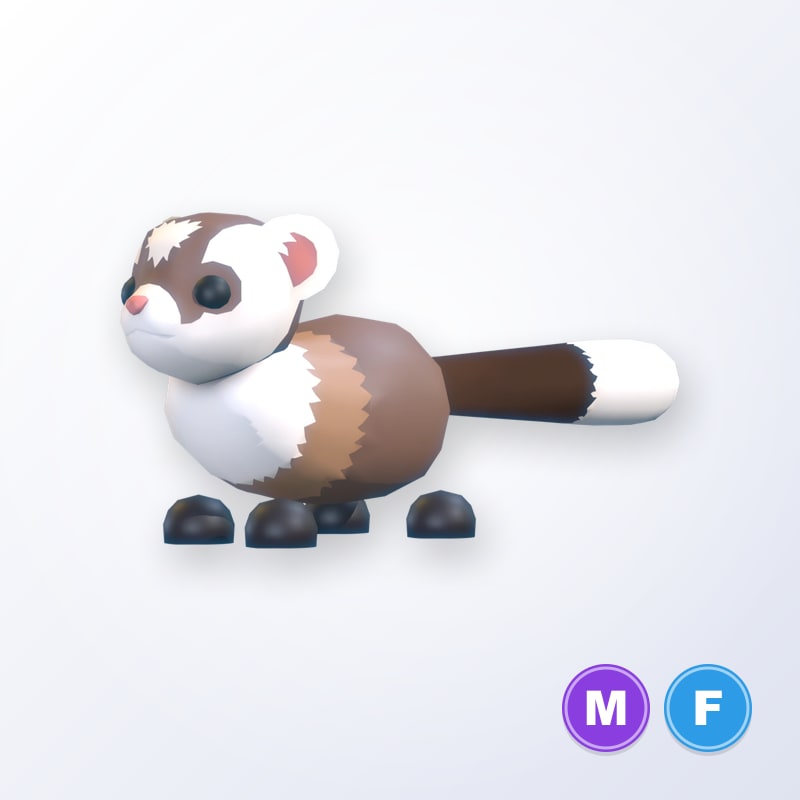 Black-Footed Ferret MF | Adopt Me