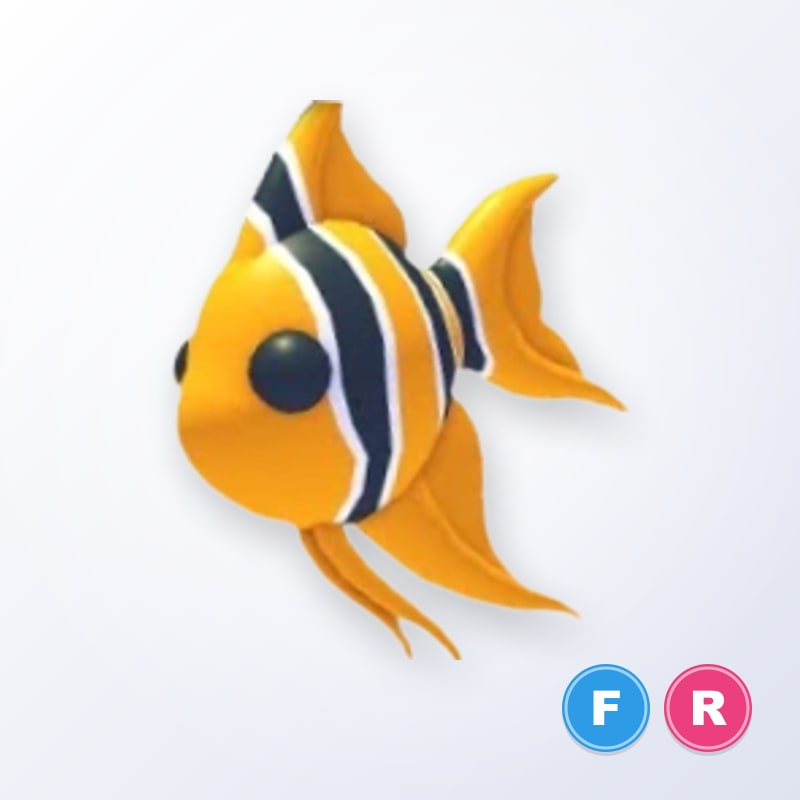 Angelfish FR | Adopt Me