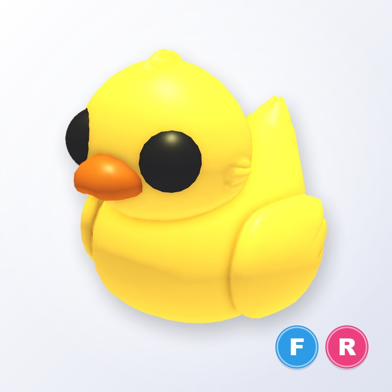 Rubber Ducky FR | Adopt Me