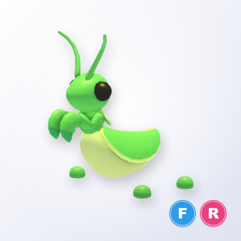 Praying Mantis FR | Adopt Me