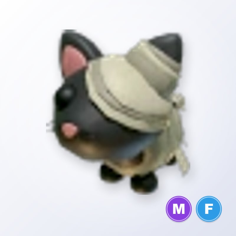 Halloween Black Mummy Cat MF | Adopt Me
