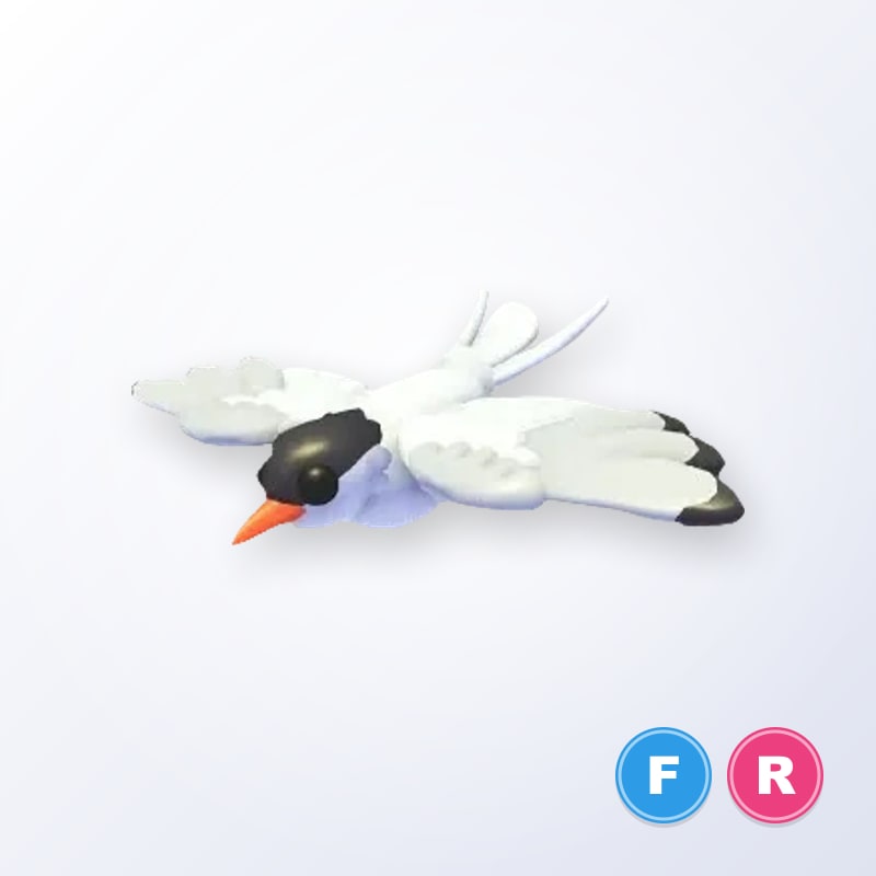 Arctic Tern FR | Adopt Me