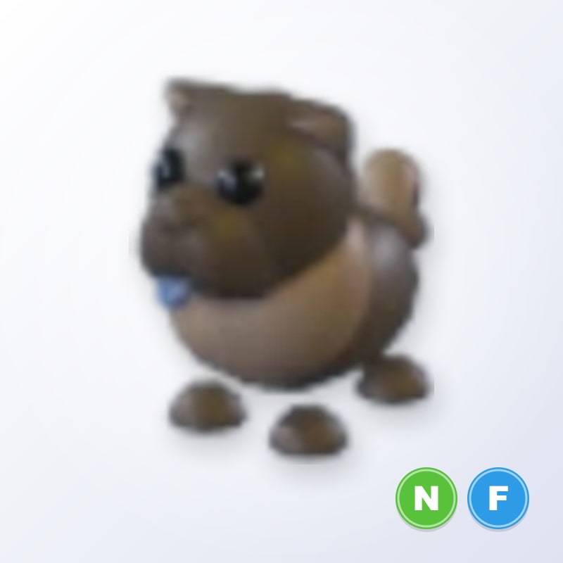 Chocolate Chow-Chow NF | Adopt Me