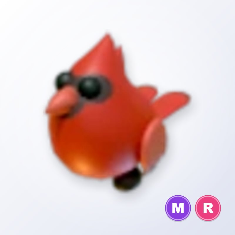 Red Cardinal MR | Adopt Me