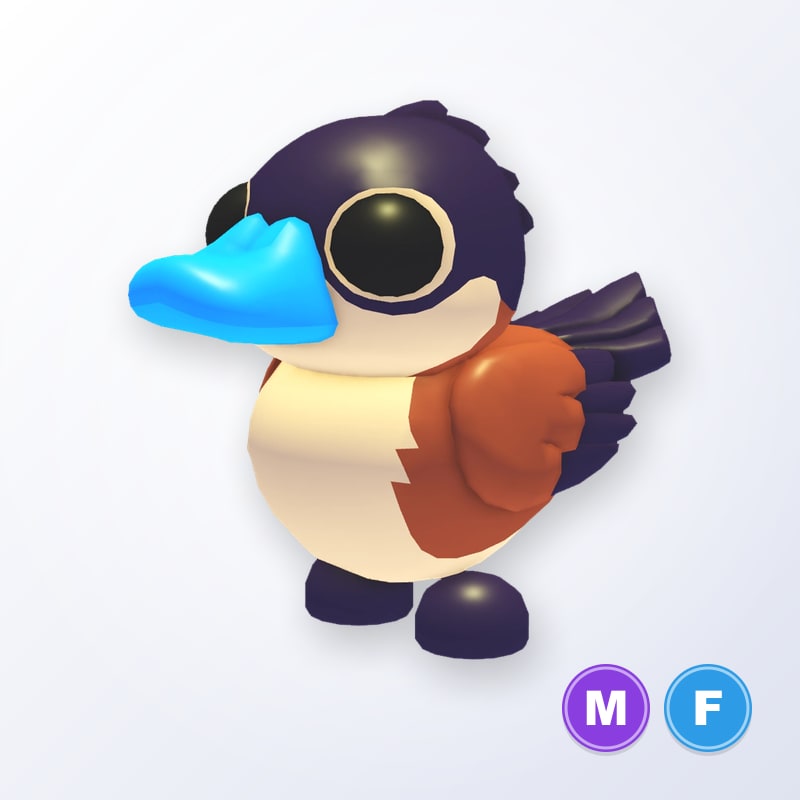 Ruddy Duck MF | Adopt Me