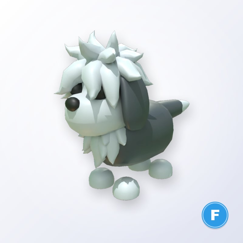 English Sheepdog F | Adopt Me
