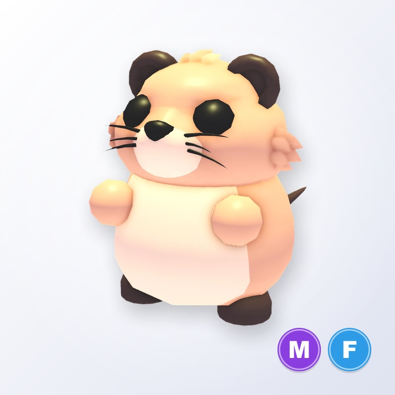 Muskrat MF | Adopt Me