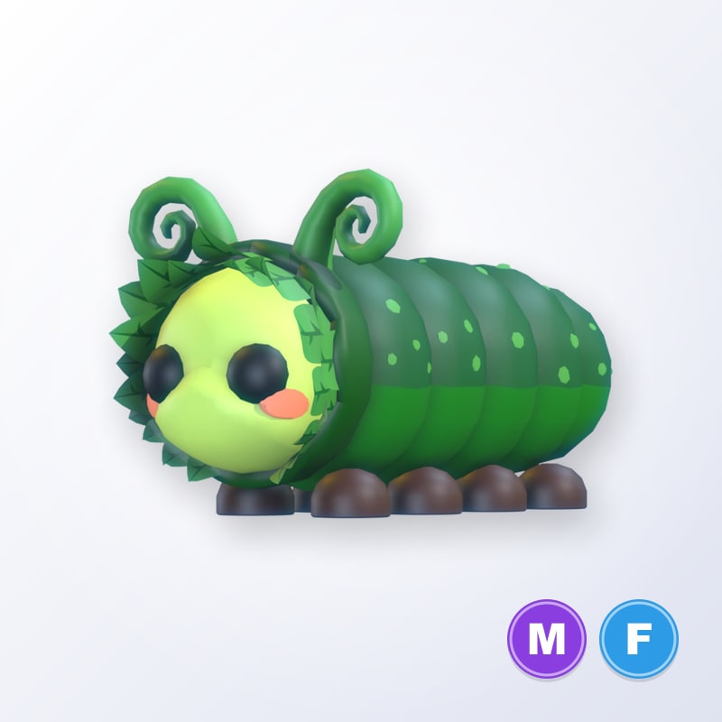Pinkypillar MF | Adopt Me