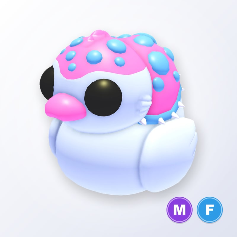 Glyptodon Ducky MF | Adopt Me