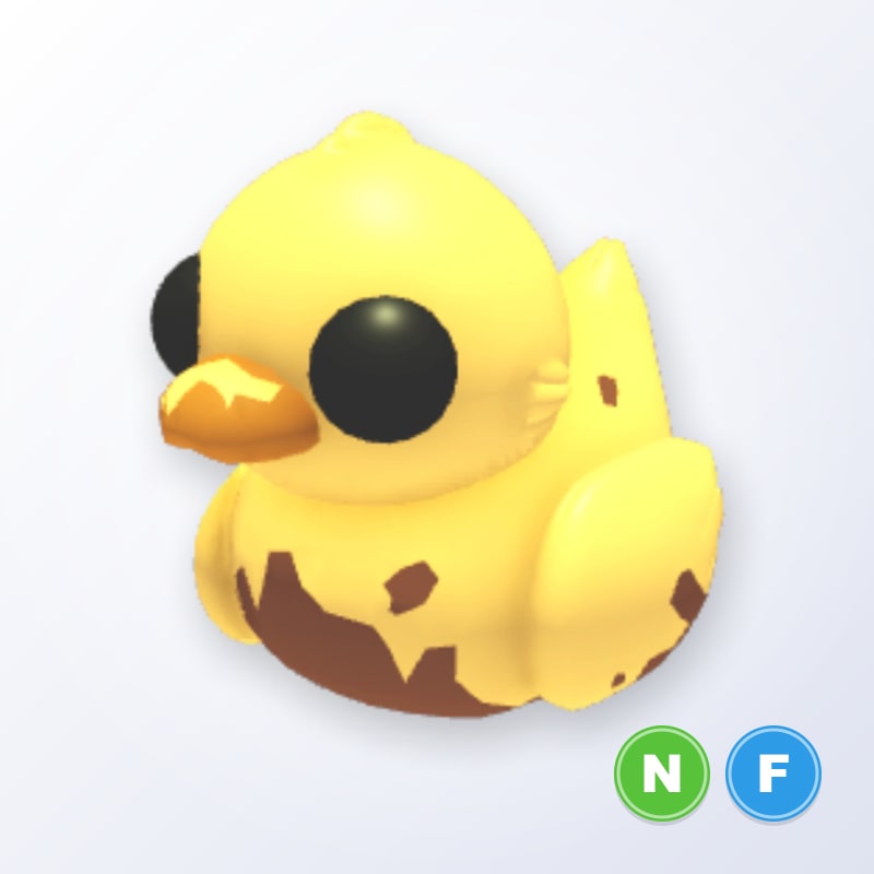 Dirty Ducky NF | Adopt Me