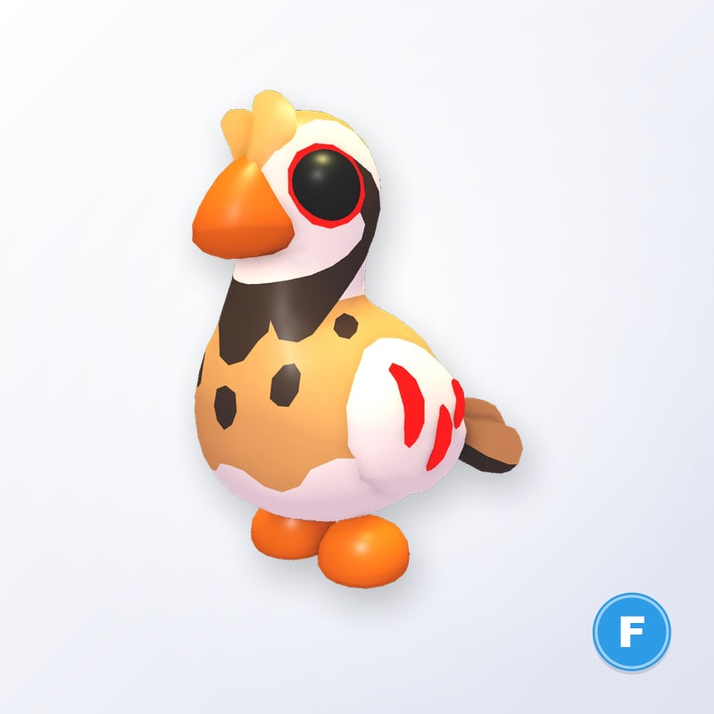 Partridge F | Adopt Me