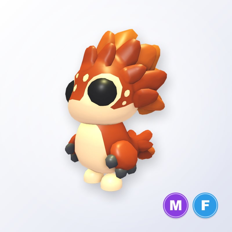 Chanekeh MF | Adopt Me