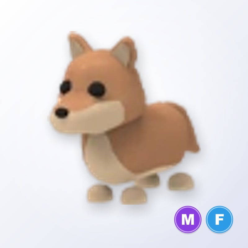 Dingo MF | Adopt Me